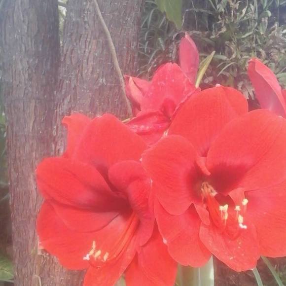 Meet your Posher, Shelly - Picture 1 of 1